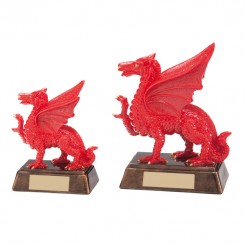 Celtic Dragon Award