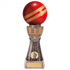 Valiant Cricket Award 240mm