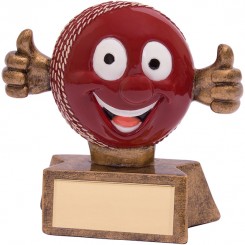 Smiler Cricket Award