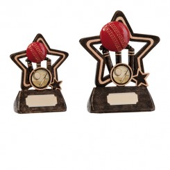 Little Star Cricket Award